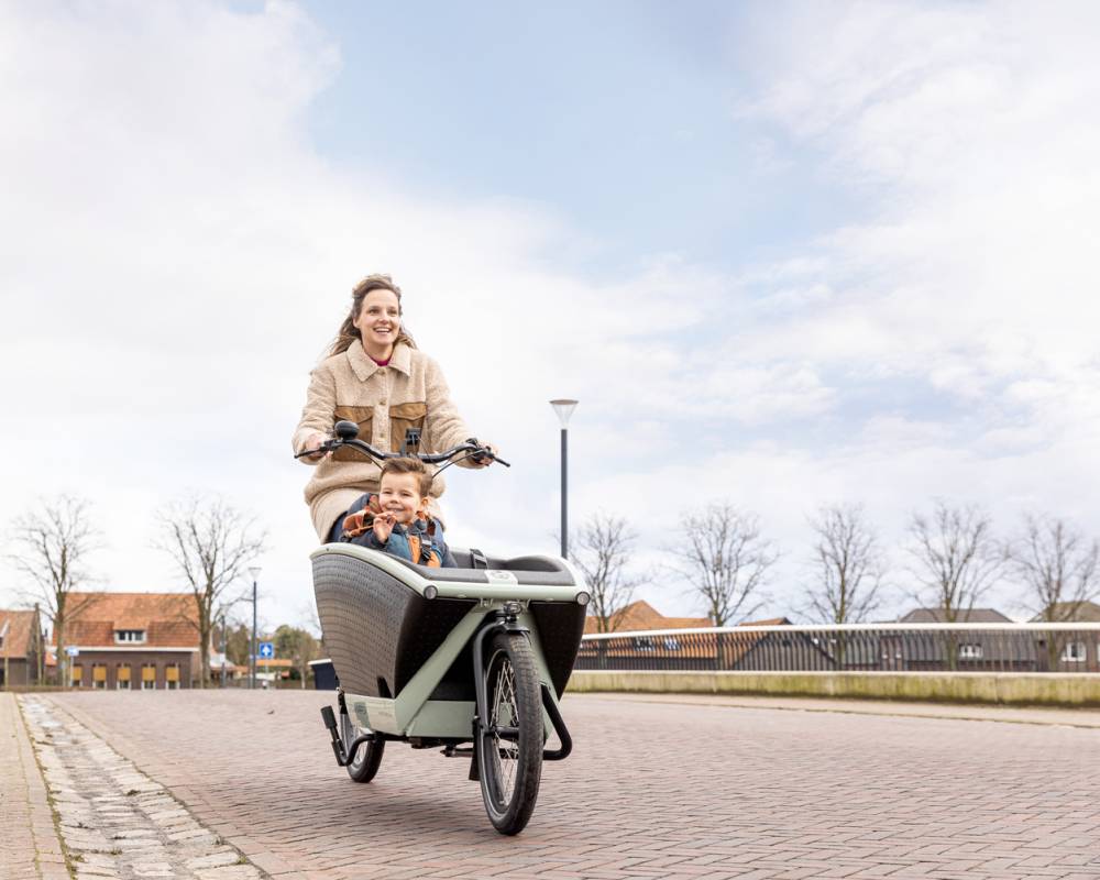 Elektrische bakfietsen