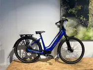 Afbeelding van de Stella Vicenza Peacock