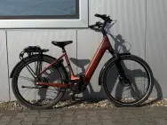 Afbeelding van de Trek District+ 4