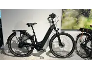 Afbeelding van de Das Ebike automaat