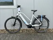 Afbeelding van de Stella Morena
