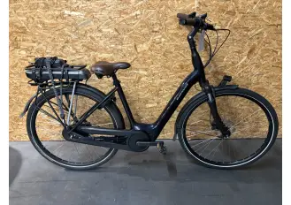 Abbildung des Batavus Finez E-Go active plus