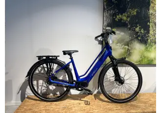 Afbeelding van de Stella Vicenza Peacock