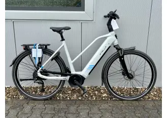 Afbeelding van de Stella Morena