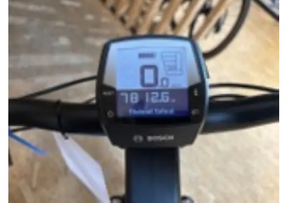 Afbeelding van de Riese & Müller Charger 3 Vario GT