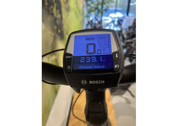 Afbeelding van de Batavus