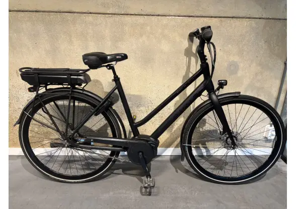 Afbeelding van de Batavus Stratos Ego