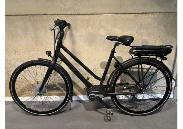 Afbeelding van de Batavus Stratos Ego