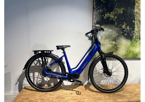 Afbeelding van de Stella Vicenza Peacock