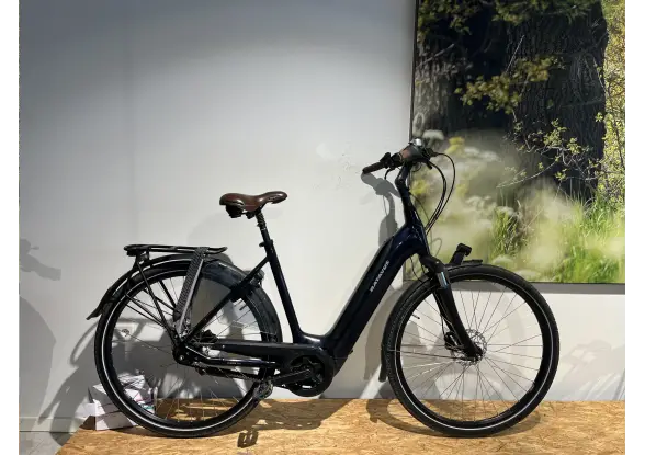 Afbeelding van de Batavus Finez