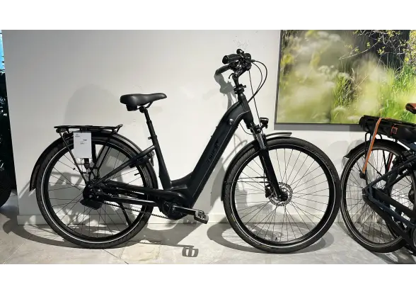 Afbeelding van de Das Ebike automaat