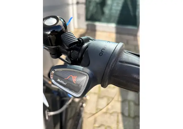 Afbeelding van de Riese & Müller Nevo GT vario