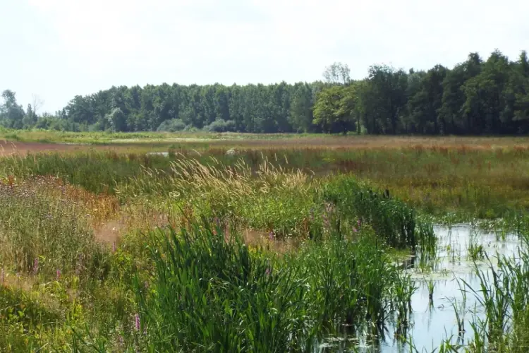 Dekkers Maaspark & Blitterswijk Route